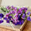 Thumbnail: Dried Flowers In a Box, Letterbox Dried Flowers, Letterbox Gift, 10 stem