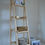 Thumbnail: Double Ladder & Shelves
