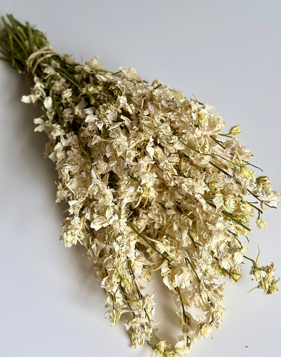 Natural Dried Flowers - White Delphinium Bunch / 30cm /Approx 20+ stems!
