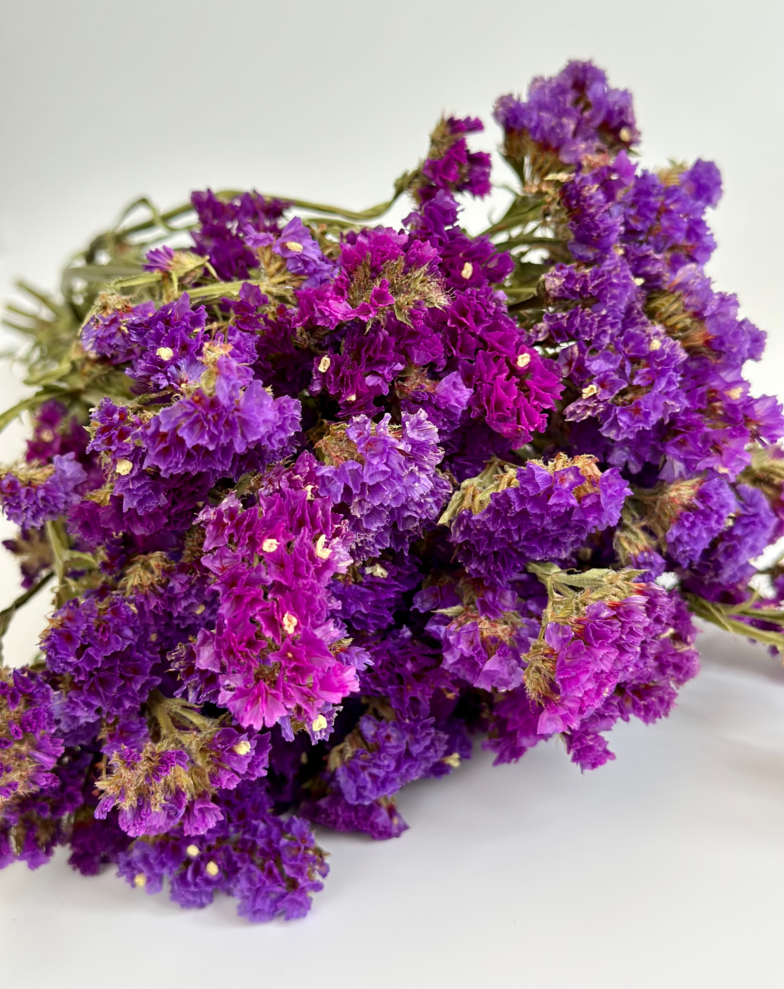 Dried Purple Statice Bunch, Sea Lavender, 20 stems, Stem length 35-40cm