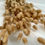 Thumbnail: A bunch of dried Nautral Lagurus! Hare’s Tails, Bunny Tails or Lambs Tails!
