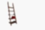 Pobi Shop Carpentry Wooden Ladder