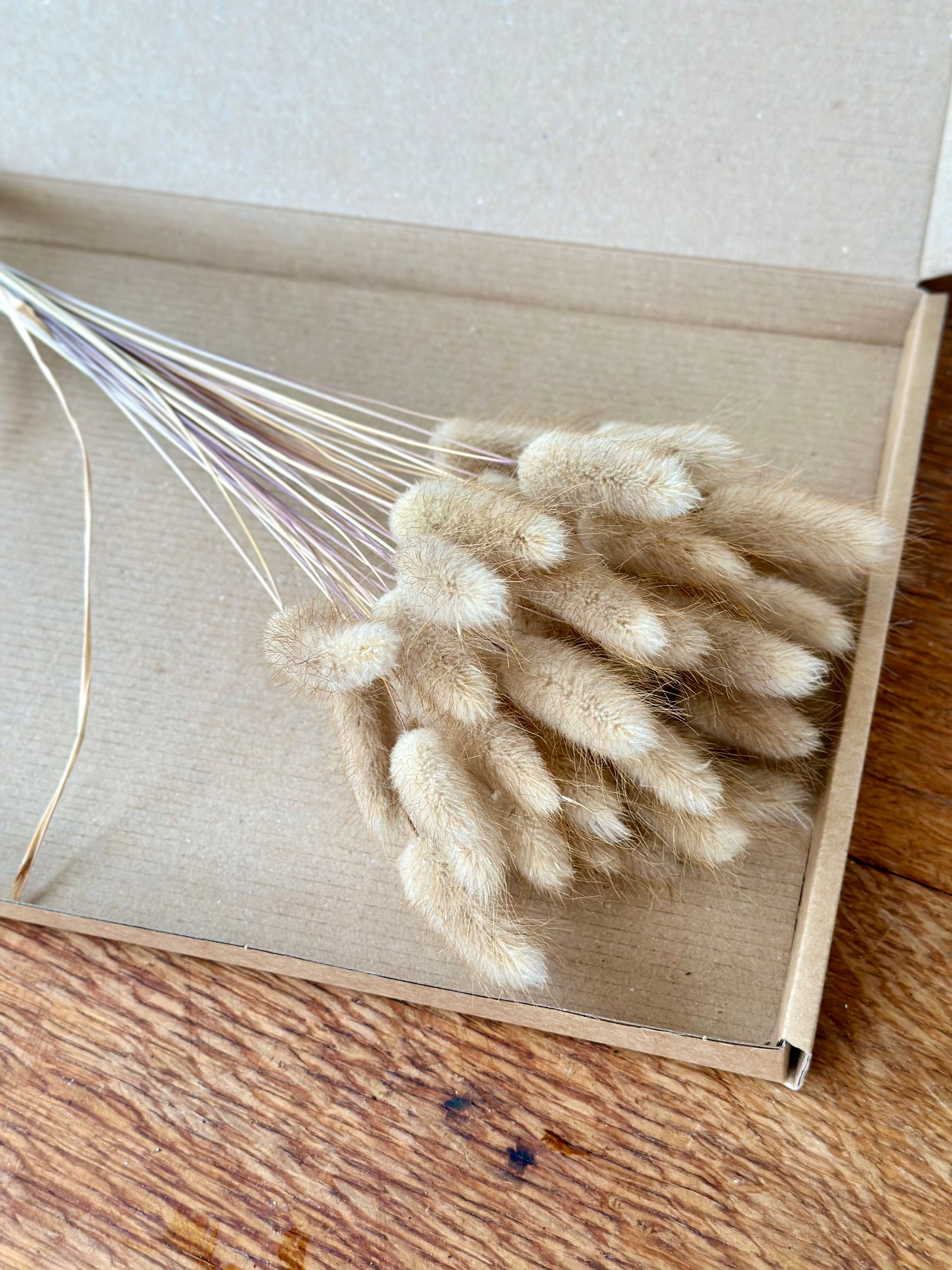 Dried NATURAL LAGURUS /Bunny Tails, Hare’s Tails, Lambs Tails, 50 stems!