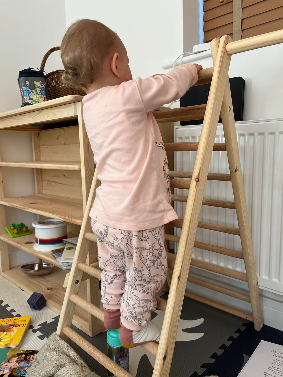 Thumbnail: Montessori inspired Mini Climbing Frame - Child, Toddler