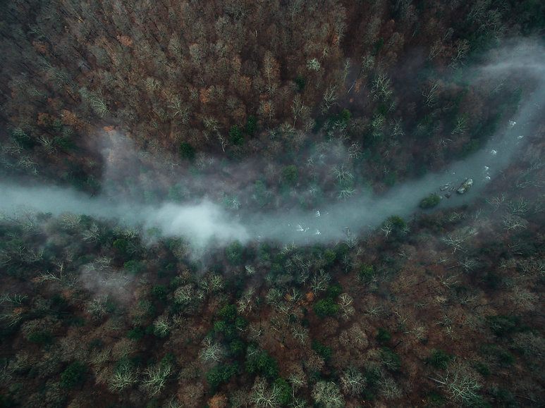 Mconnels Mills fog .jpg