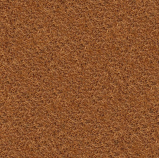 COIR 4.jpeg