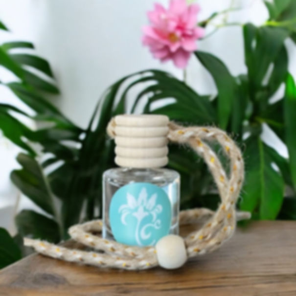 Sweet Mana Car Diffusers