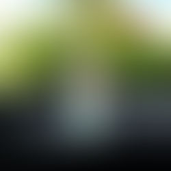 Sweet Mana's mini Car + Travel diffusers for scent on the go