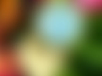 Beauty balm on tropical plants and flowers