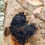 Thumbnail: Sweet Mana Chaga Mushroom Nuggets