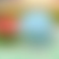 Sweet Mana's Cucumber Eye Gel on a beach towel next to pink flower