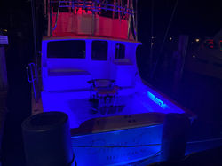 LED Lights on the Dunn Deal at Teach's Lair Marina