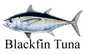 Blackfin Tuna.png