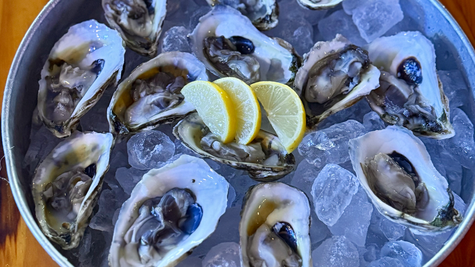 Fresh, local oysters at Pop's Raw Bar, Hatteras Island, NC