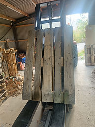 IMG20230914163649.jpg