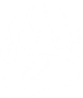 shutterstock_666866344.png