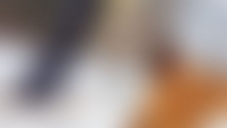 Trees Are Tapped – The Sap Be Flowin | 2020 Maple Syrup Season Has Begun | Our Dog Directed Th