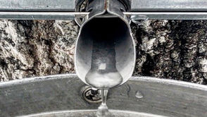 2019 Maple Syrup Season Kickoff