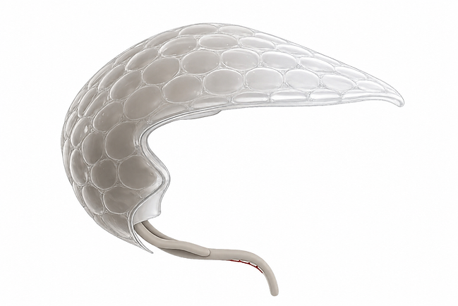 Blurred side view.png