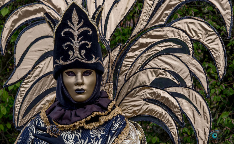 Photographie portrait costumés de Venise & Annevoie
