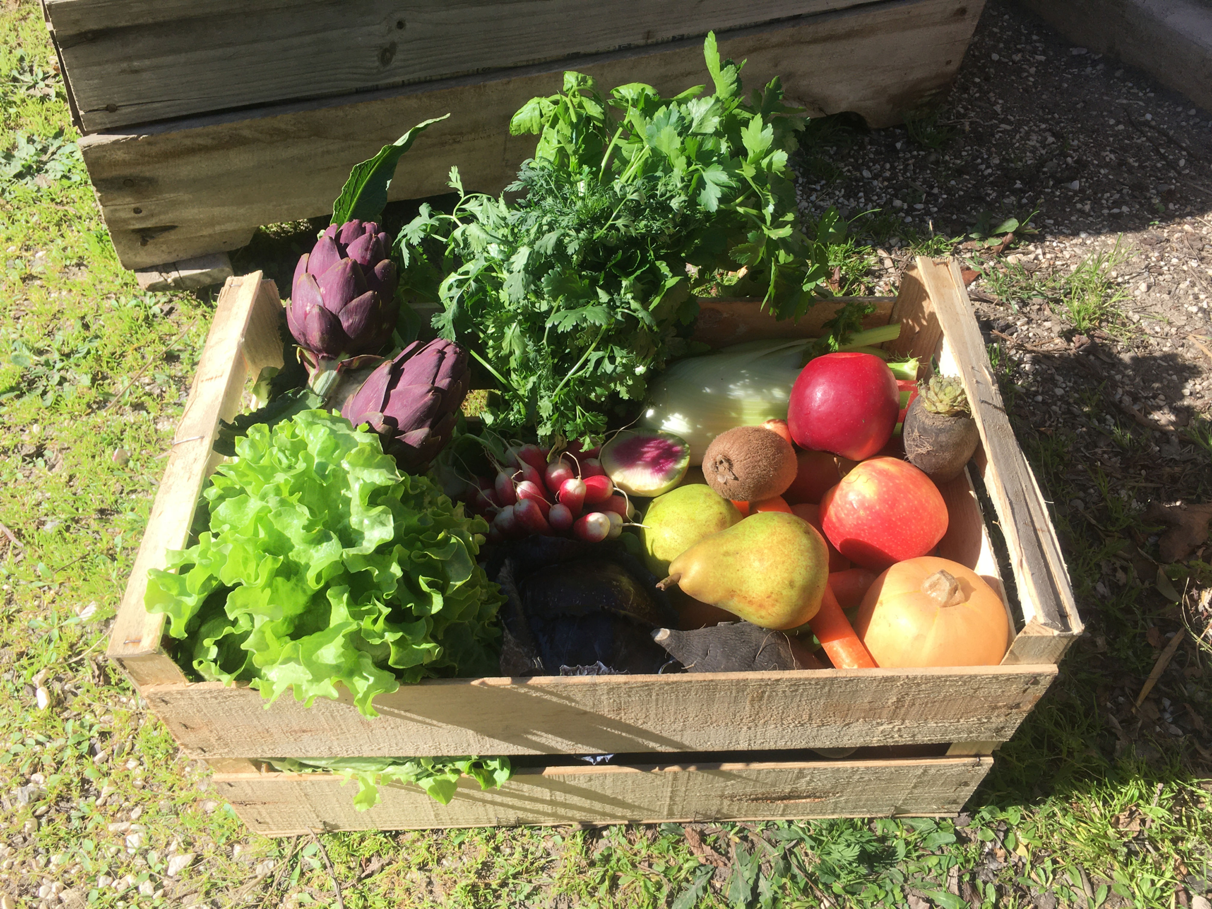 Panier primeur DUO / 6Kg