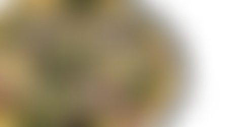 Tarte aux choux Kale et oignons rouges, un délice hivernal !