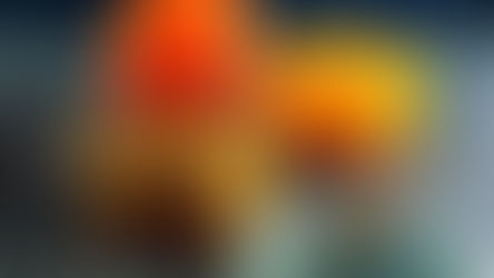 Crumble de légumes d’hiver, le plein d'énergie et de gourmandise !