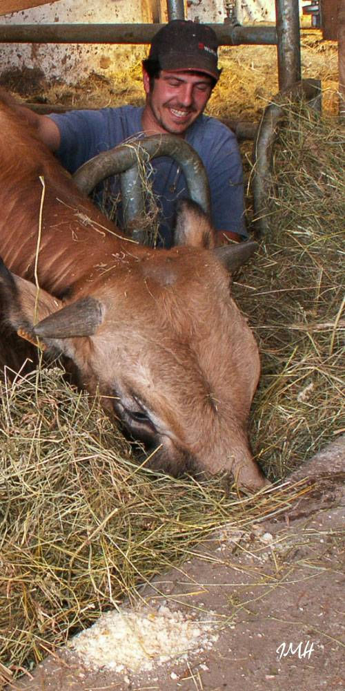 Aurélien à la ferme de Besses