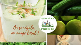 Fraîche, légère,gorgée de vitamines et délicieuse... une purée avocat, concombre et chèvre !