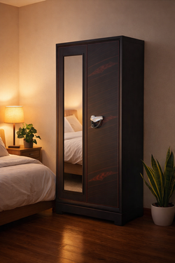 2 Door Steel Almirah/Wardrobe with Mirror