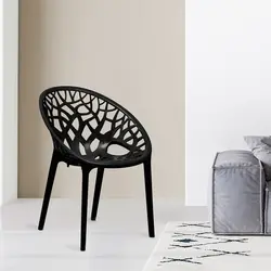 Nilkamal Crystal Polypropylene Premium Chair (Iron Black)