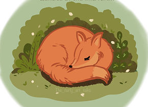 Mr. Fox