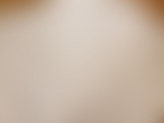 十万円をケチって自分で法人設立届け