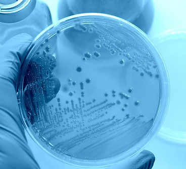 Masterclass-sobre-la-legislacion-de-microbiologia-de-alimentos-1.jpg