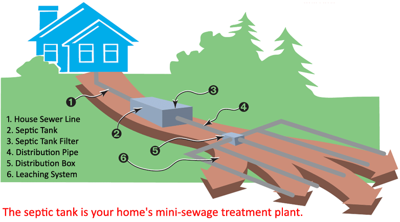 Septic diagram
