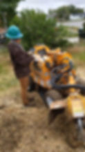 Stump Grinder