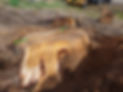 Stump Grinding Removal