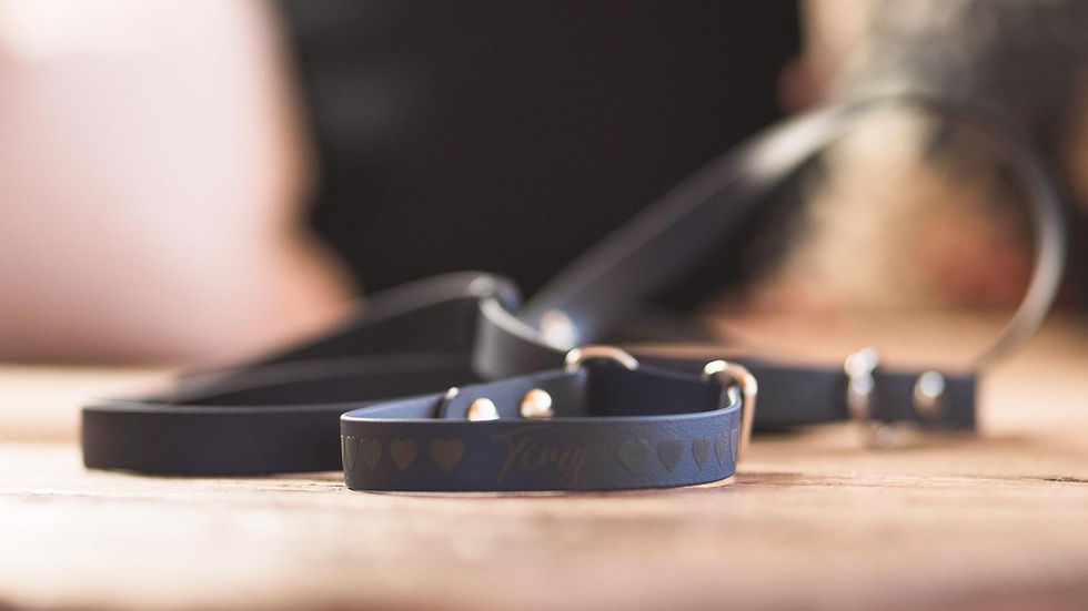 Miniaturbild: Biothane Retrieverleine