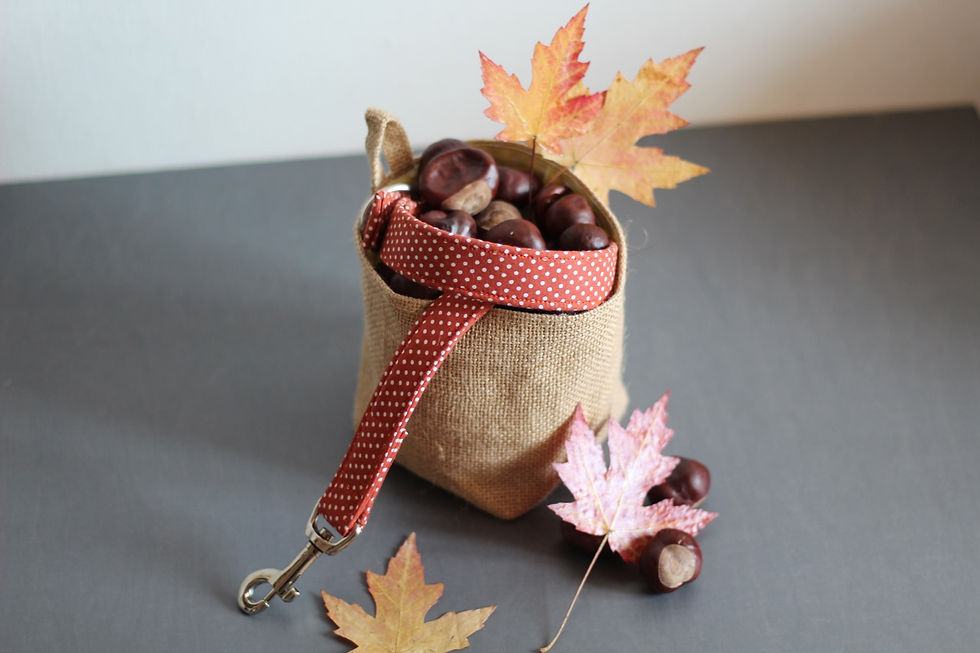 Miniaturbild: Pumpkin Halsband