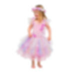 Feenkleid für Kinder in Babypink mit Regenbogenfarben, Glitzertüll, Blumen und Flügeln am Rücken, Vorderseit