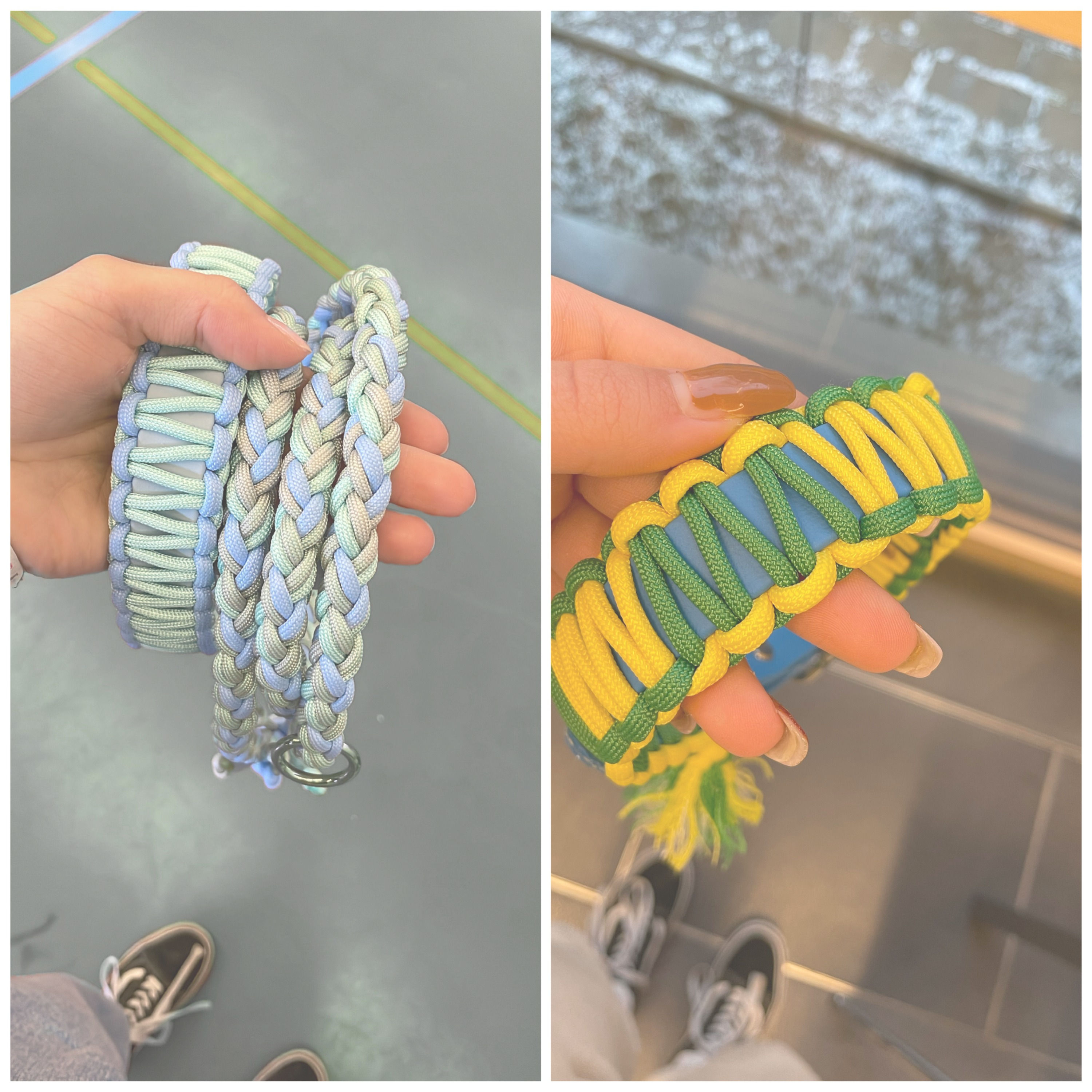 Biothane mit Paracord