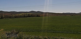 desembocadura.jpg