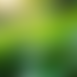 Simple DIY Organic Garden Pest Control Methods