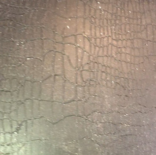 6A348998-4C77-4911-9570-04F3E1E26909_1_1