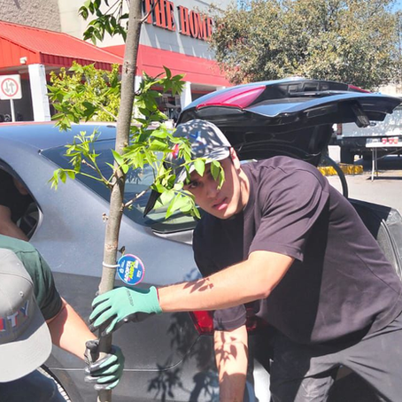 Realiza Monterrey 14ª edición de “Adopta un Árbol”