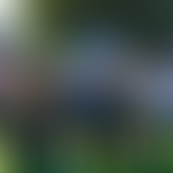 Remodelan y entregan parque en Residencial Puerta de Hierro