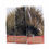 Miniatura: WHITING COQ DE LEON TAILING PACK