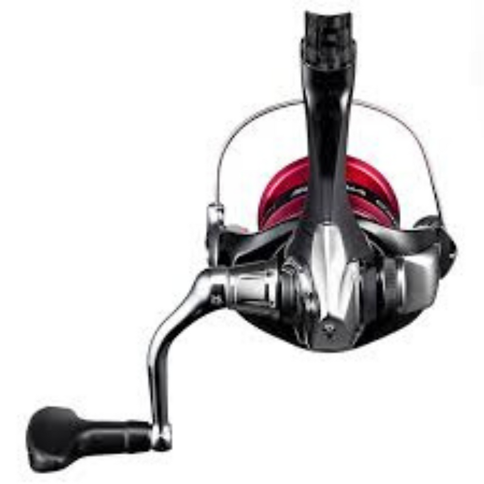 Miniatura: SHIMANO SIENNA FG SPINNING