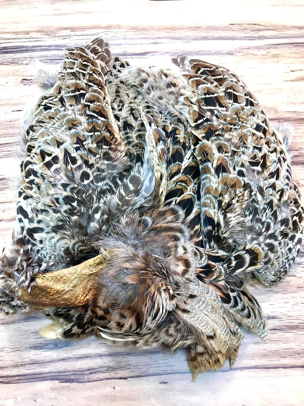 MOSCA Y RIO RINGENECK PHEASANT SKIN NATURAL HEN