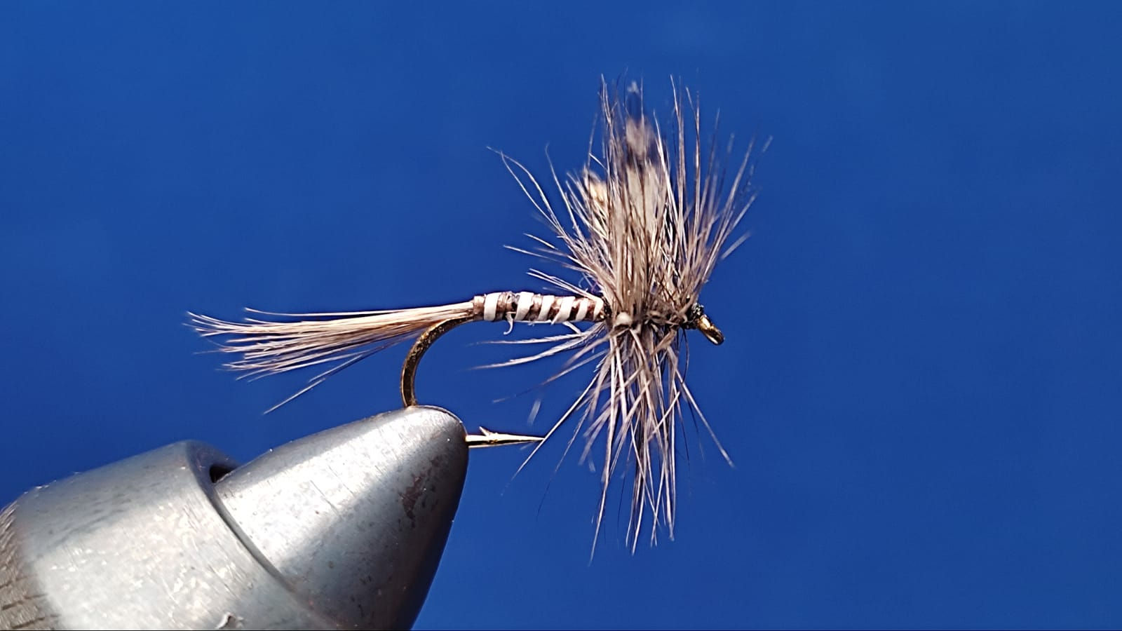 DRY FLY MOOSE
